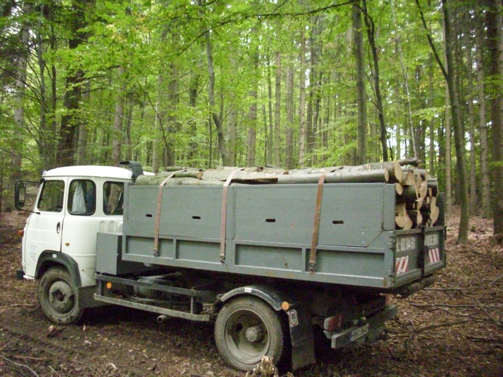 Připraveno k expedici