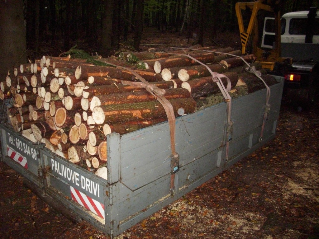 Měkké jehličnaté dříví