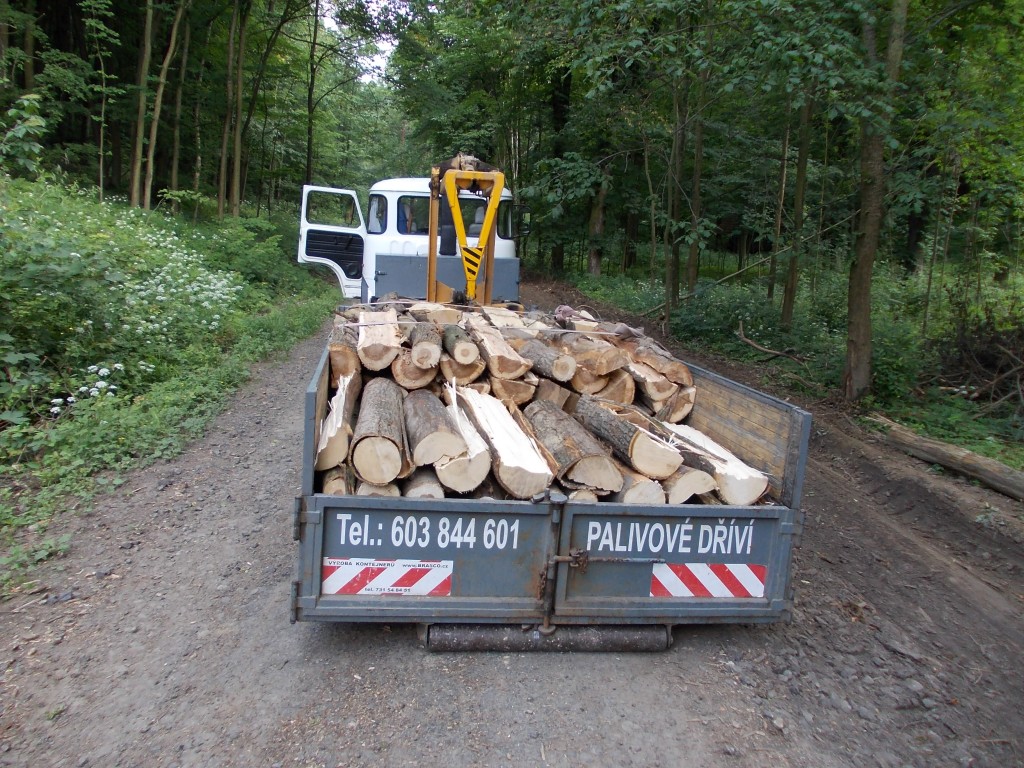 Kvalitní palivové dříví