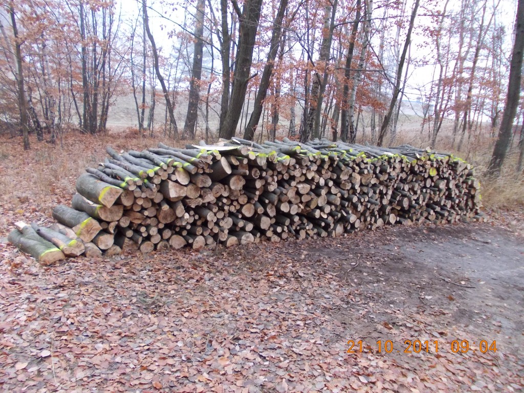 Naše firma - zpracování dřeva